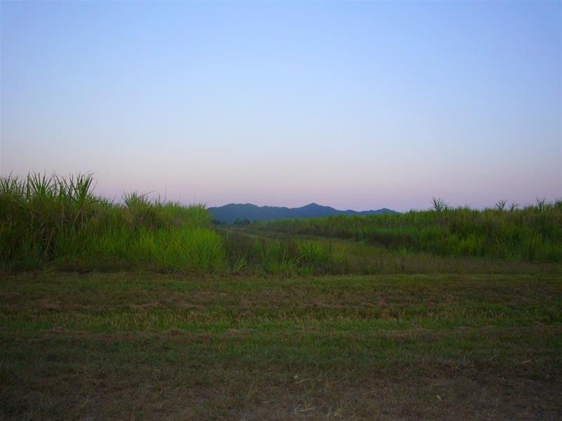 Lot 88, Lot 88 Midgenoo-Feluga Road, Midgenoo QLD 4854