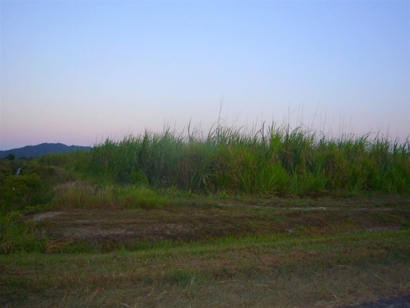 Lot 88, Lot 88 Midgenoo-Feluga Road, Midgenoo QLD 4854