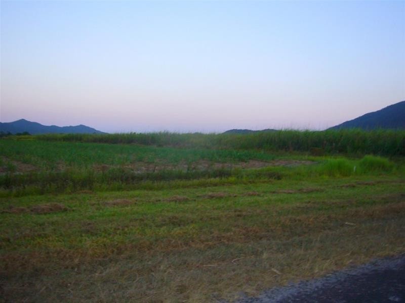 Lot 88, Lot 88 Midgenoo-Feluga Road, Midgenoo QLD 4854