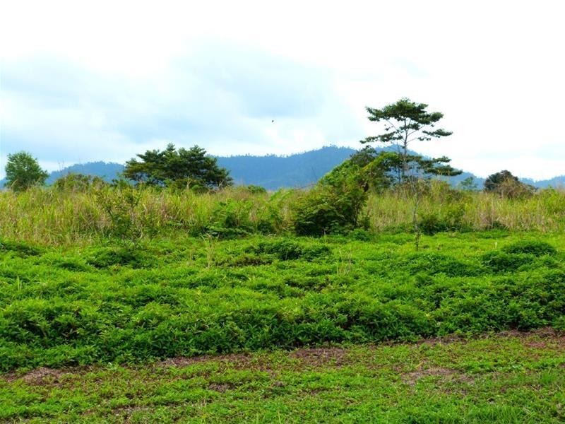 Lot 88, Lot 88 Midgenoo-Feluga Road, Midgenoo QLD 4854