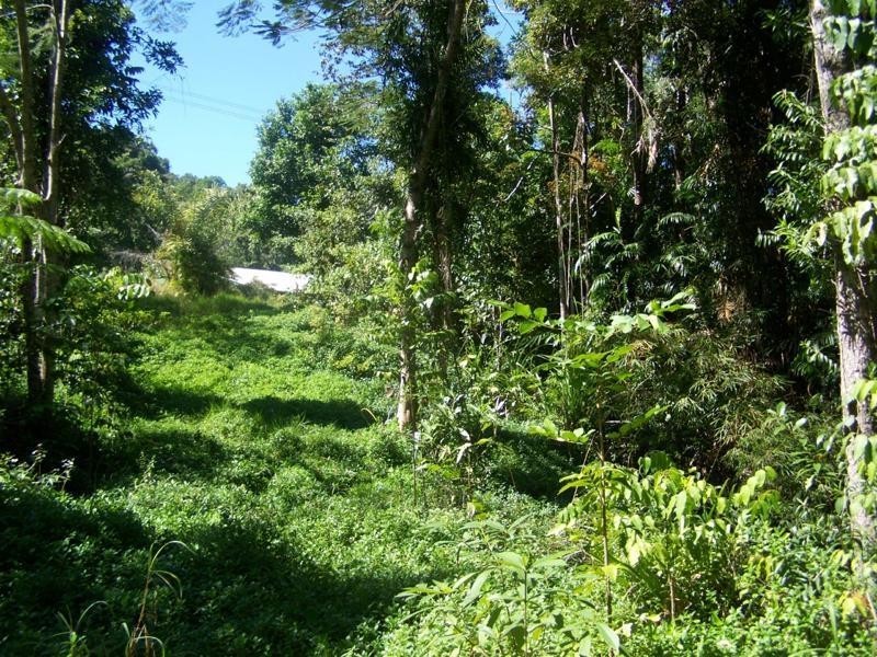 15 Maple Terrace, Tully QLD 4854