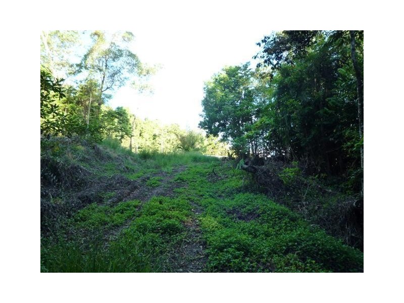 15 Maple Terrace, Tully QLD 4854