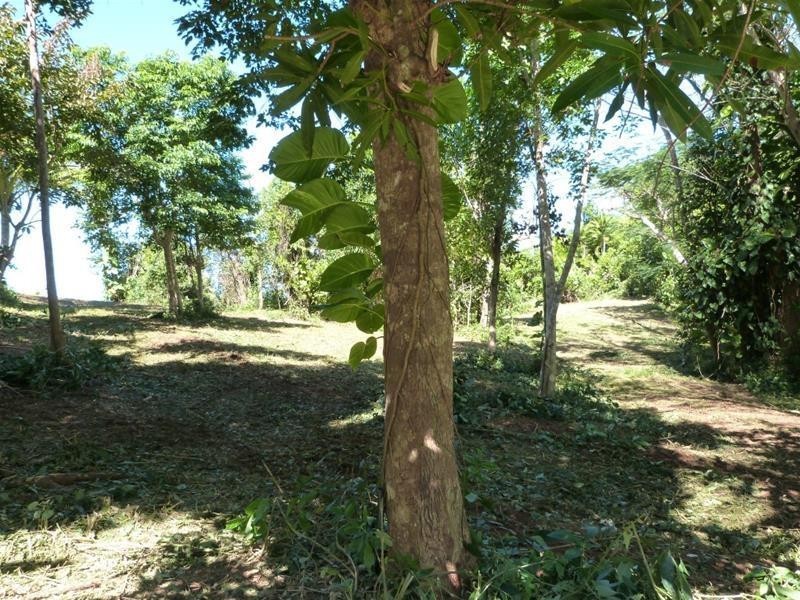 Lot 4, Lot 4, 33 Holt Road, Garners Beach QLD 4852