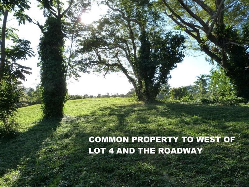 Lot 4, Lot 4, 33 Holt Road, Garners Beach QLD 4852