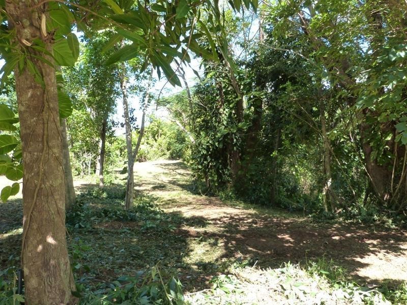 Lot 4, Lot 4, 33 Holt Road, Garners Beach QLD 4852