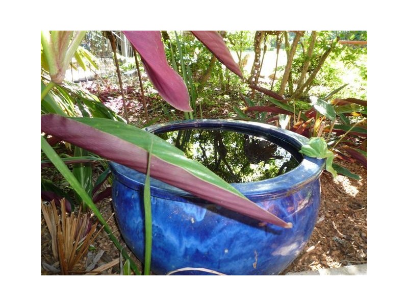 5 Kurrajong Close, Wongaling Beach QLD 4852