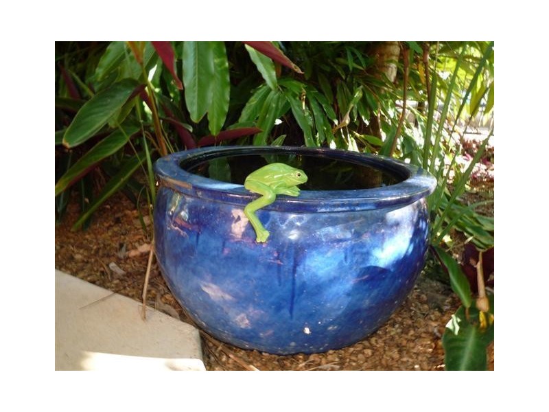 5 Kurrajong Close, Wongaling Beach QLD 4852