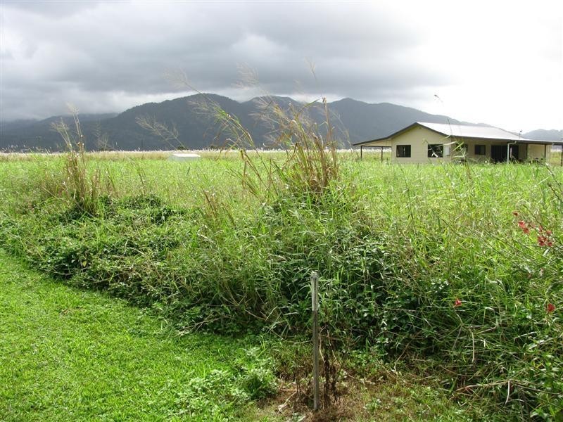 Lot/201 Crossan Road, Midgenoo QLD 4854