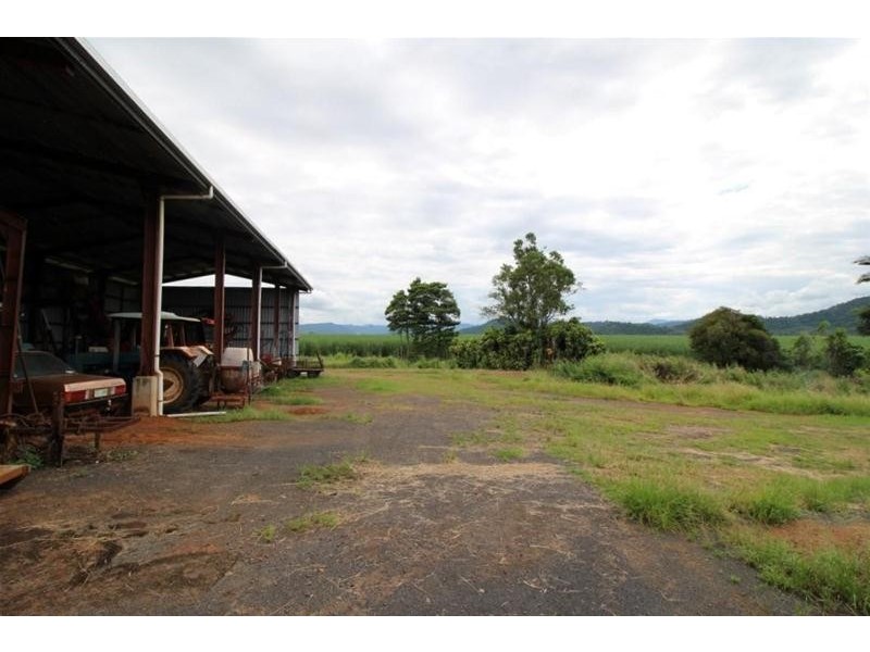 2098 Innisfail-Japoon Road, Bombeeta QLD 4871