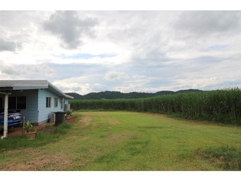 2098 Innisfail-Japoon Road, Bombeeta QLD 4871