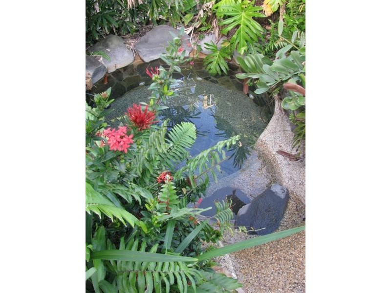 6 Reid Road, Wongaling Beach QLD 4852