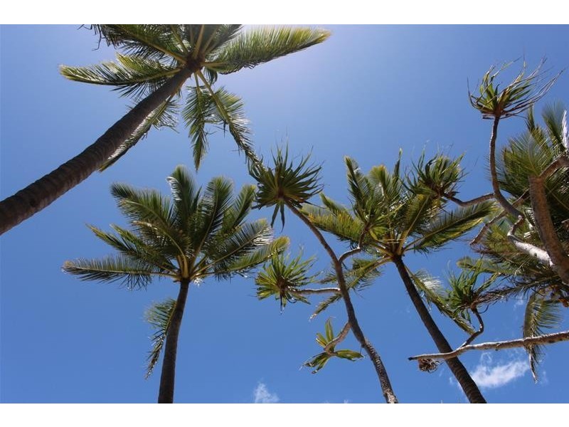 84 Porter Promenade, Mission Beach QLD 4852