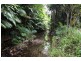 Lot 401, Lot 401 Breadfruit Road, Granadilla QLD 4855