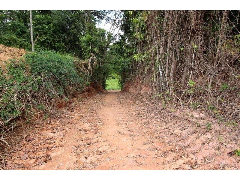 Lot 401, Lot 401 Breadfruit Road, Granadilla QLD 4855