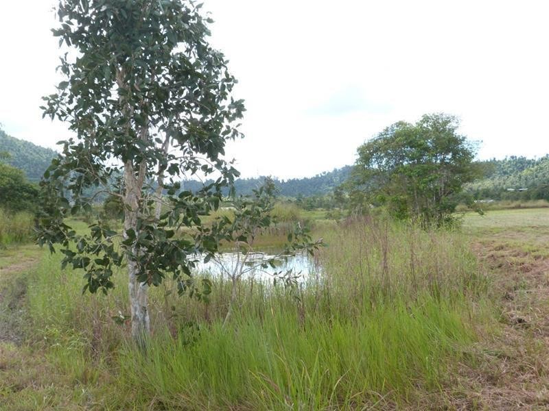 Lot 589 Old Telegraph Road, East Feluga QLD 4854