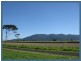 Lot 87 Midgenoo-Feluga  Road, Midgenoo QLD 4854