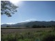Lot 87 Midgenoo-Feluga  Road, Midgenoo QLD 4854