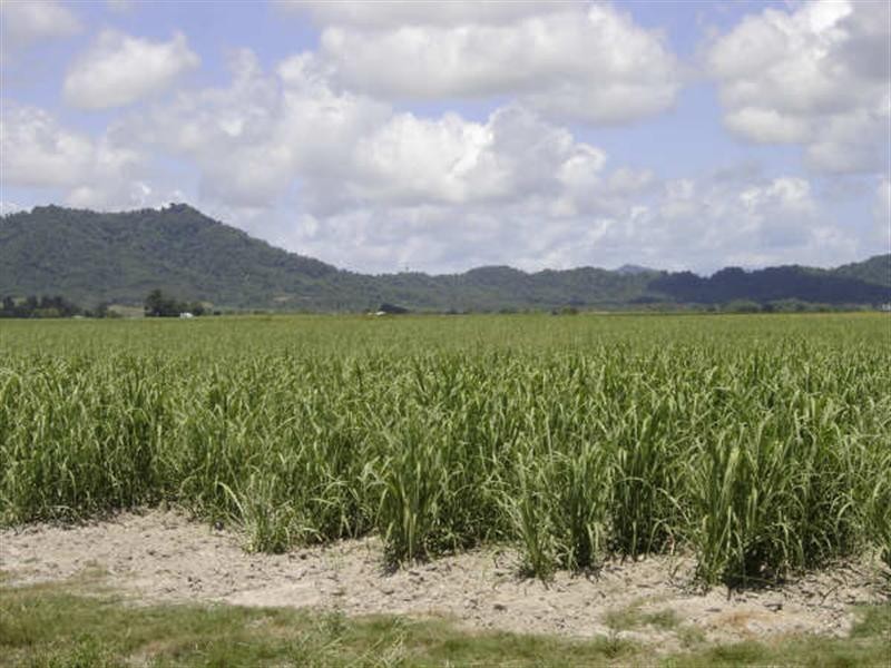 Lot 87 Midgenoo-Feluga  Road, Midgenoo QLD 4854