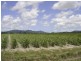 Lot 87 Midgenoo-Feluga  Road, Midgenoo QLD 4854
