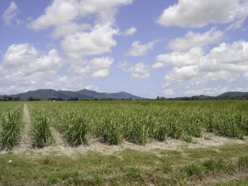 Lot 87 Midgenoo-Feluga  Road, Midgenoo QLD 4854