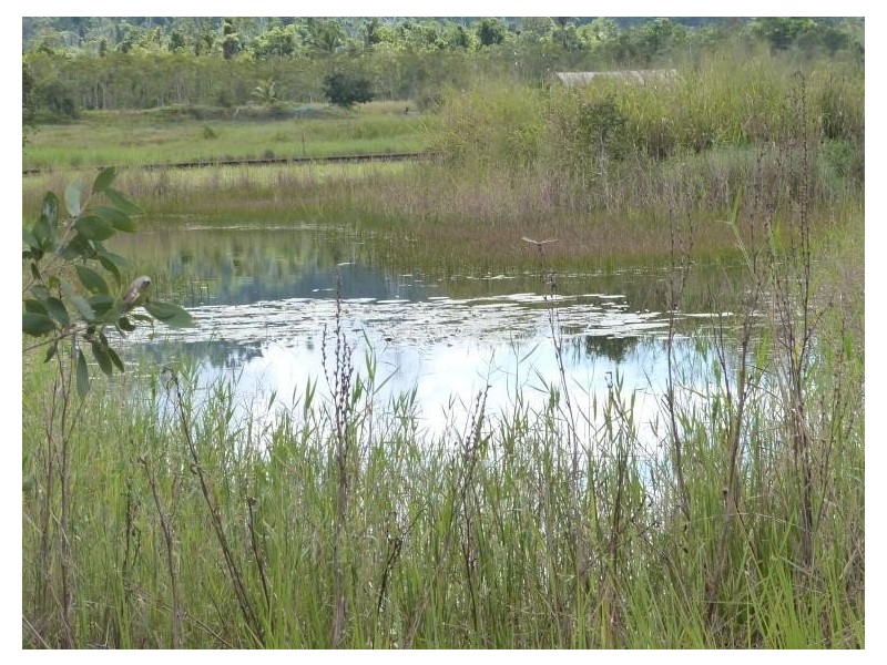 Lot 589, Lot 589 Old Telegraph Road, East Feluga QLD 4854