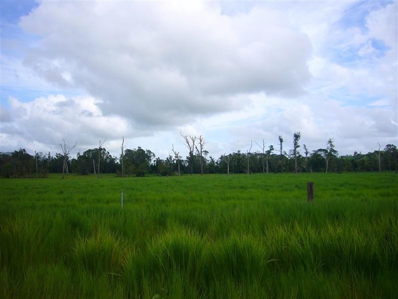 Lot 347, Lot 15 El Arish Mission Beach  Road, Maria Creeks QLD 4855