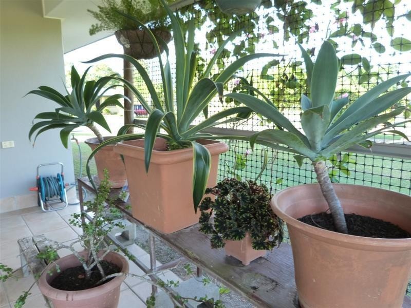 8 MJV McNamara Close, Bulgun QLD 4854