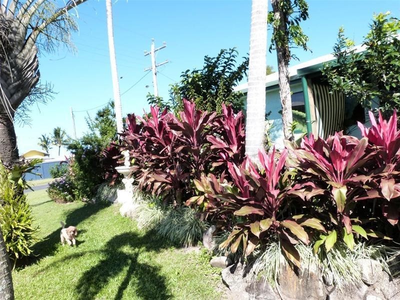 41 Taylor Street, Tully Heads QLD 4854