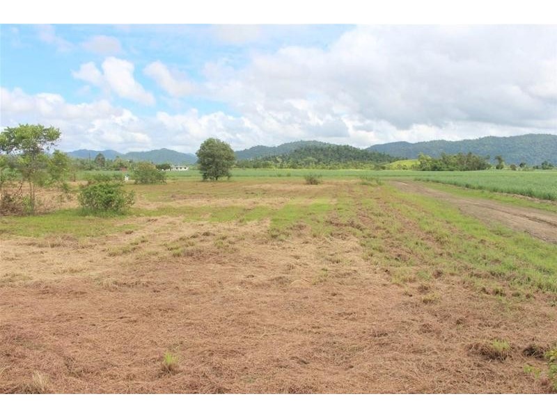 Lot 12, Lot 12 Branch Road, No 4 Branch QLD 4856