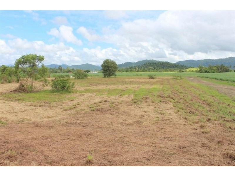 Lot 12, Lot 12 Branch Road, No 4 Branch QLD 4856