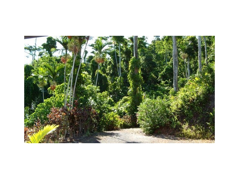 193 Alexander Drive, Mission Beach QLD 4852