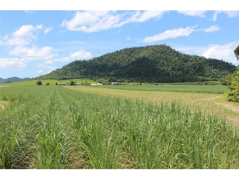 Lot 87 Friday Pocket Road, Maadi QLD 4855