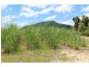 Lot 87 Friday Pocket Road, Maadi QLD 4855