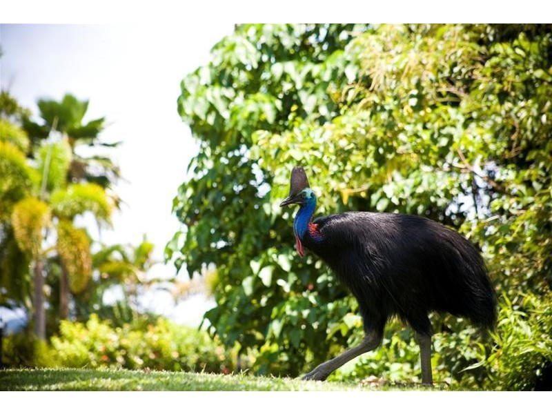 South Mission Beach QLD 4852