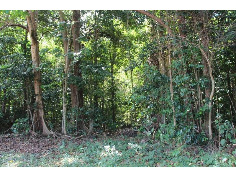 Lot 1, 61 Alexander Drive, Mission Beach QLD 4852