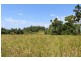 Lot 1, 61 Alexander Drive, Mission Beach QLD 4852