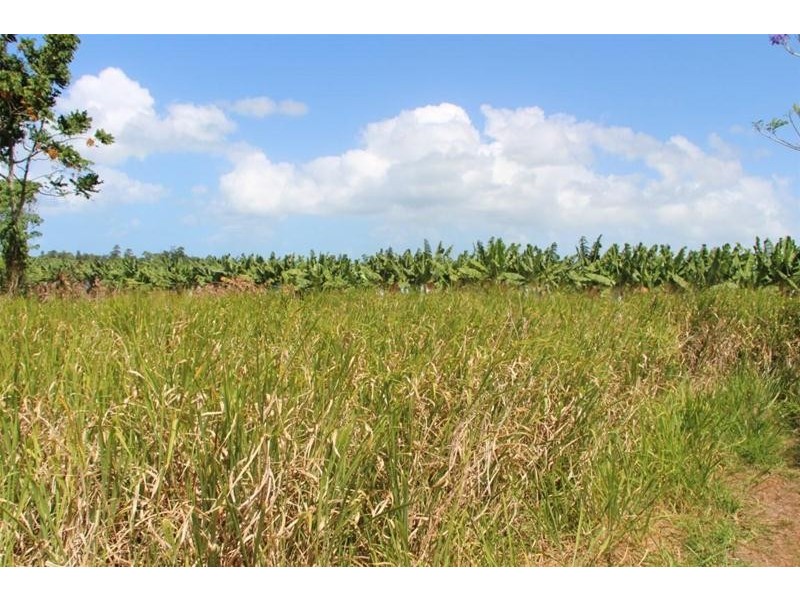 Lot 1, 61 Alexander Drive, Mission Beach QLD 4852