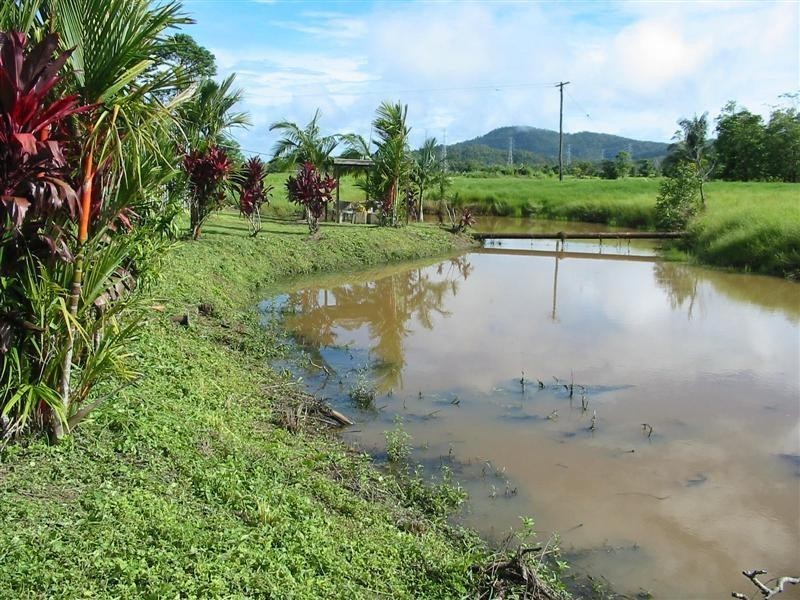 68 Meuanbah Road, Bombeeta QLD 4871