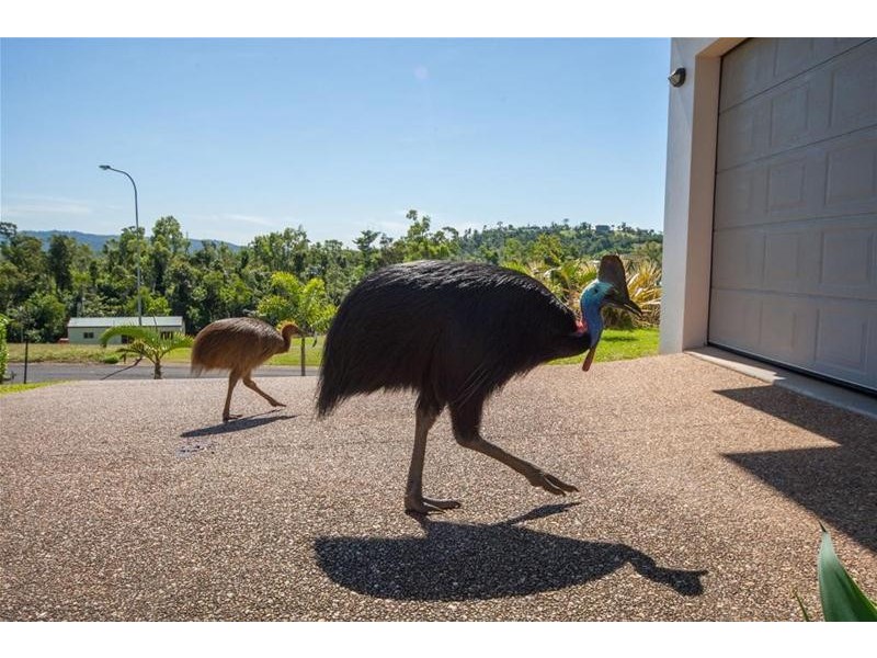 15 Riverside Terrace, South Mission Beach QLD 4852