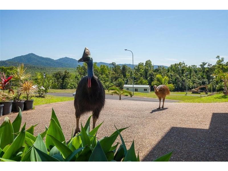 15 Riverside Terrace, South Mission Beach QLD 4852