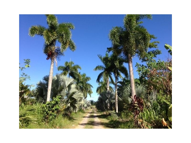 Lot 3, 3 Shell Pocket Road, El Arish QLD 4855