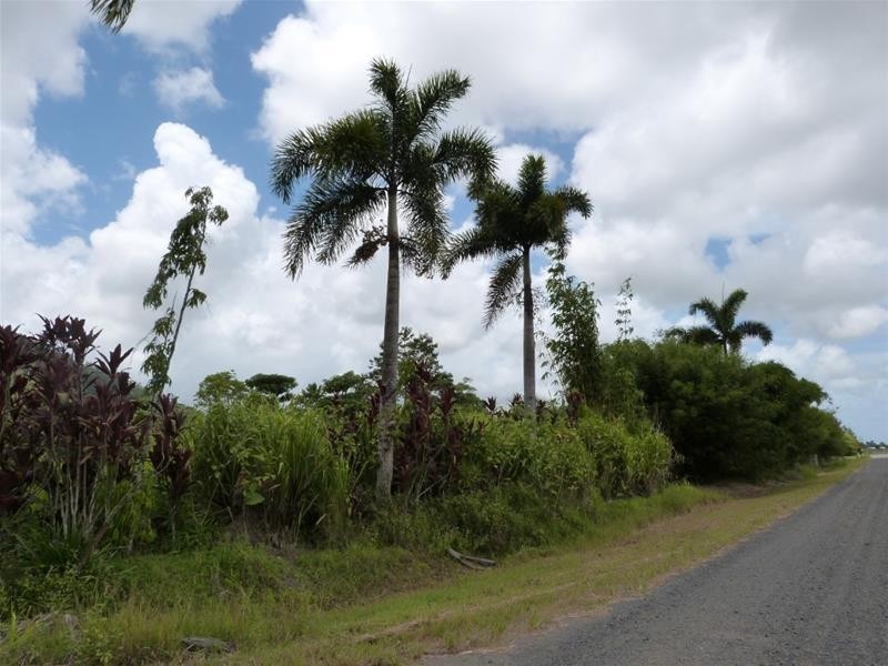 Lot 3, 3 Shell Pocket Road, El Arish QLD 4855