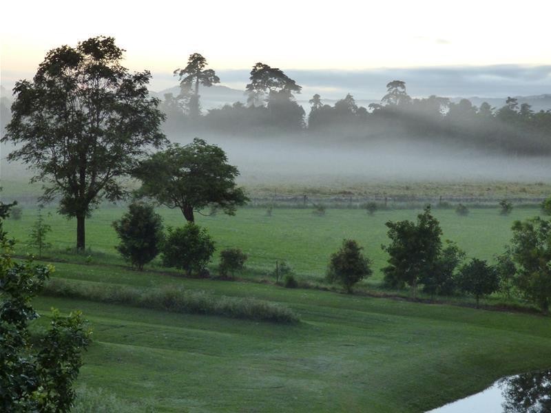 729 Mena Creek Road, Mena Creek QLD 4871