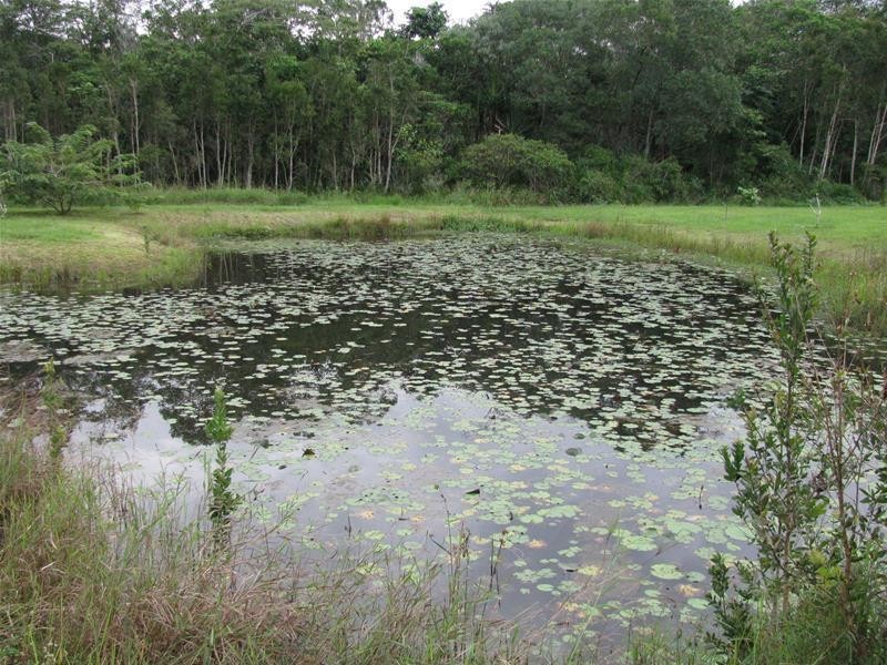 742 East Feluga Road, East Feluga QLD 4854