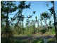 Lot 13, 8 Lindsay Road, Carmoo QLD 4852
