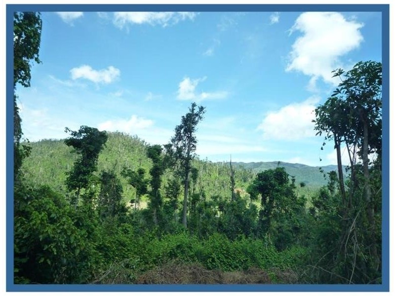 Lot 1, 228 Jackson Road, El Arish QLD 4855