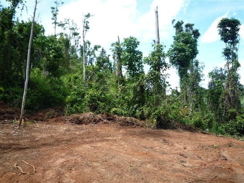 Lot 1, 228 Jackson Road, El Arish QLD 4855