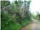 Lot 1, 228 Jackson Road, El Arish QLD 4855