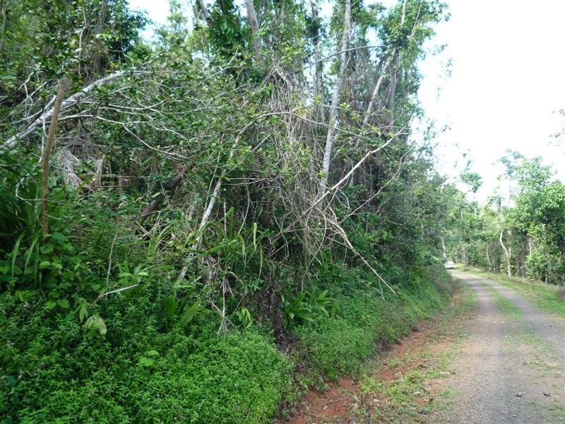 Lot 1, 228 Jackson Road, El Arish QLD 4855