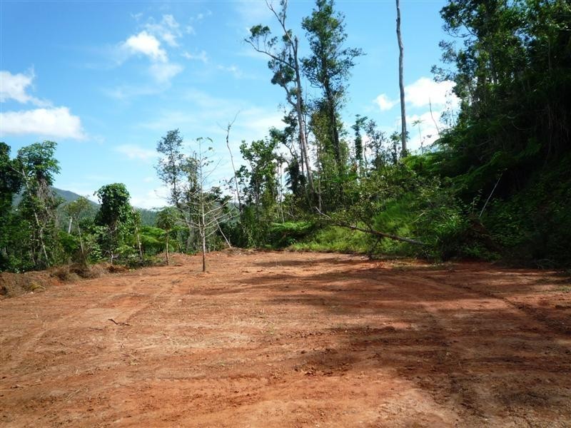 Lot 1, 228 Jackson Road, El Arish QLD 4855